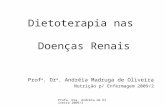 Profa. Dra. Andréia de Oliveira 2009/2 Dietoterapia nas Doenças Renais Prof a. Dr a. Andréia Madruga de Oliveira Nutrição p/ Enfermagem 2009/2.