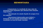 HEMOSTASIA A hemostasia é o resultado de uma série de processos bem regulados que efetuam duas funções importantes: - Manutenção do estado líquido do sangue.