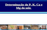 Determinação do P, K, Ca e Mg do solo. Fósforo Análise de Solo para Fósforo Fósforo – Muitos métodos de extração Brasil: década de 60 - Dois extratores.