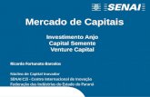 Investimento Anjo Capital Semente Venture Capital Ricardo Fortunato Barcelos Núcleo de Capital Inovador SENAI C2i - Centro Internacional de Inovação Federação.