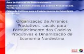 1 Organização de Arranjos Produtivos Locais para Fortalecimento das Cadeias Produtivas e Dinamização da Economia Nordestina Área de Políticas de Desenvolvimento.
