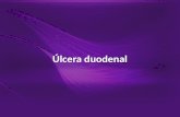 Úlcera duodenal. 1.Úlcera linear transversal, na parede anterior/vertente superior do bulbo, em cicatrização (H2 de Sakita).