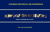 Prof. José Carlos Rabello Origem e Evolução das Teorias COLÉGIO ESTADUAL DE ARARNGUÁ.