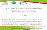 Mortalidade materna em adolescentes: epidemiologia e prevenção Equipe Participantes :Luiz Alberto Peregrino Ferreira - Heloisa Galloti Peixoto - Haimée.