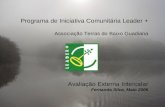 Programa de Iniciativa Comunitária Leader + Associação Terras do Baixo Guadiana Avaliação Externa Intercalar Fernanda Silva, Maio 2006.