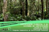 CERTIFICAÇÃO FLORESTAL E OS SISTEMAS DE CERTIFICAÇÃO Luciana R. Antunes Coordenação técnica Programa Cooperativo em Certificação Florestal.
