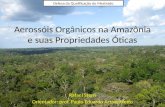 Aerossóis Orgânicos na Amazônia e suas Propriedades Óticas Rafael Stern Orientador: prof. Paulo Eduardo Artaxo Netto Defesa da Qualificação de Mestrado.
