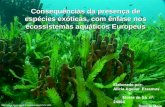 Consequências da presença de espécies exóticas, com ênfase nos ecossistemas aquáticos Europeus Elaborado por: Alicia Aguilar Erasmus Eloise de Sá nº: 24984.
