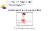 Curso Técnico de Enfermagem ANATOMIA DO SISTEMA DIGESTÓRIO Prof:Cléia Bet Baumgarten.