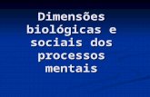 Dimensões biológicas e sociais dos processos mentais.