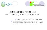 CURSO TÉCNICO EM SEGURANÇA DO TRABALHO PROGRAMA E-TEC BRASIL INSTITUTO FEDERAL DO PIAUÍ.