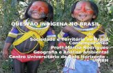 QUESTÃO INDÍGENA NO BRASIL Sociedade e Território no Brasil Contemporâneo Profª Márcia Rodrigues Geografia e Análise Ambiental Centro Universitário de.