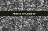 Análise de Carbono 1. Tipos de aerossol carbonáceo (Petzold et al., 2013) Carbonate Carbon (CC) é parte do carbono inorgânico. Total Carbon (TC) é a soma.