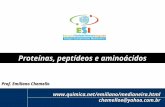 1 emiliano@quimica.net Proteínas, peptídeos e aminoácidos yahoo.com.br Prof. Emiliano Chemello.
