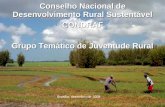 Conselho Nacional de Desenvolvimento Rural Sustentável CONDRAF Grupo Temático de Juventude Rural Brasília, dezembro de 2009.