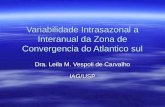 Variabilidade Intrasazonal a Interanual da Zona de Convergencia do Atlantico sul Dra. Leila M. Vespoli de Carvalho IAG/USP.