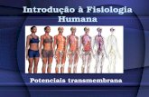 Introdução à Fisiologia Humana Potenciais transmembrana.