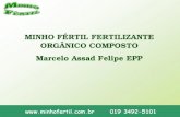 MINHO FÉRTIL FERTILIZANTE ORGÂNICO COMPOSTO Marcelo Assad Felipe EPP.