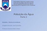 Poluição da Água Parte 2 Disciplina: Ciências do Ambiente Estagiário Docente: José Guimarães Professora Doutora Márcia Maria Universidade Federal de Campina.