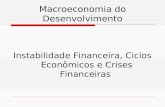 Macroeconomia do Desenvolvimento Instabilidade Financeira, Ciclos Econômicos e Crises Financeiras.