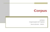 Corpus UFRGS Organização de Projetos Marcia Benetti – 2008/2.