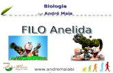 Www.andremaiabio.co m.br Biologia Profº André Maia Biologia FILO Anelida FILO Anelida.