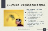 Profª Denise Ferreira1 Cultura Organizacional Uma forte cultura oferece : compreensão clara da maneira como as coisas são feitas. estabilidade à organização.