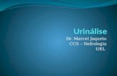 Dr. Marcel Jaqueto CCS – Nefrologia UEL. Exame de Urina Avaliação laboratorial da urina, que envolve avaliação de constituintes químicos da urina (bioquímica.