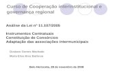 Curso de Cooperação interinstitucional e governança regional Belo Horizonte, 28 de novembro de 2008 Análise da Lei nº 11.107/2005 Instrumentos Contratuais.