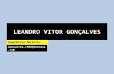 LEANDRO VITOR GONÇALVES Engenheiro Mecânico Goncalves.1989@hotmail.com.