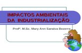 IMPACTOS AMBIENTAIS DA INDUSTRIALIZAÇÃO Profª. M.Sc. Mary Ann Saraiva Bezerra.