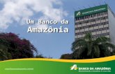Um Banco da Amazônia. AUDIÊNCIA PÚBLICA COMISSÃO DA AMAZÔNIA, INTEGRAÇÃO NACIONAL E DE DESENVOLVIMENTO REGIONAL Brasília (DF), 4 de maio de 2010.