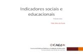 Indicadores sociais e educacionais Palestrante: Túlio Silva de Paula.