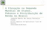 A Elevação na Demanda Mundial de Etanol, Pobreza e Distribuição de Renda no Brasil Joaquim Bento de Souza Ferreira Filho Escola Superior de Agricultura.