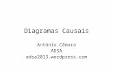 Diagramas Causais António Câmara ADSA adsa2013.wordpress.com.