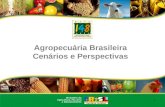 1 Agropecuária Brasileira Cenários e Perspectivas.