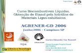 Projeto Etanol Curso Biocombustiveis Líquidos. Obtenção de Etanol pela hidrólise de Materiais Ligno- celulósicos AGRENER-GD 2006 Junho/2006 – Campinas-SP.