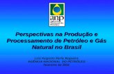 Perspectivas na Produção e Processamento de Petróleo e Gás Natural no Brasil Perspectivas na Produção e Processamento de Petróleo e Gás Natural no Brasil.