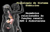 Fisiologia do Sistema Endócrino Hormônios relacionados às funções renais: ADH e Aldosterona Profa Cristina Maria Henrique Pinto Profa. Dra. Associada III.