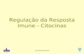 Ana Paula Ravazzolo Regulação da Resposta Imune - Citocinas.