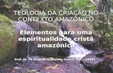 TEOLOGIA DA CRIAÇÃO NO CONTEXTO AMAZÔNICO Elementos para uma espiritualidade cristã amazônica Prof. Dr. Pe.Ricardo Gonçalves Castro, IMC / SARES.