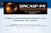 A Nova Contabilidade Pública e os Tribunais de Contas Contador Inaldo da Paixão Santos Araújo Presidente do Tribunal de Contas do Estado da Bahia (TCE-BA)