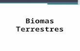 Biomas Terrestres. Bioma é uma comunidade biológica, ou seja, a fauna e a flora e suas interações entre si e com o ambiente físico, o solo, a água, o.