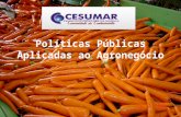 Políticas Públicas Aplicadas ao Agronegócio. 2 Instrumentos de Política Econômica que afetam o Direito do Agronegócio São Gotardo (MG), 20 de Agosto de.