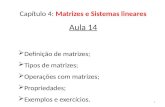 Capítulo 4: Matrizes e Sistemas lineares Aula 14  Definição de matrizes;  Tipos de matrizes;  Operações com matrizes;  Propriedades;  Exemplos e exercícios.