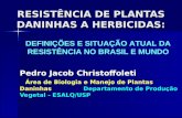 RESISTÊNCIA DE PLANTAS DANINHAS A HERBICIDAS: Pedro Jacob Christoffoleti Área de Biologia e Manejo de Plantas Daninhas Departamento de Produção Vegetal.