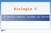 Biologia 2 Cap. 07 Doenças humanas causadas por bactérias.