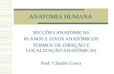 ANATOMIA HUMANA SECÇÕES ANATÔMICAS PLANOS E EIXOS ANATÔMICOS TERMOS DE DIREÇÃO E LOCALIZAÇÃO ANATÔMICAS Prof. Cláudio Costa.