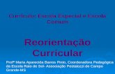 Currículo: Escola Especial e Escola Comum Reorientação Curricular Profª Maria Aparecida Barros Pinto, Coordenadora Pedagógica da Escola Raio de Sol- Associação.