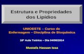 Estrutura e Propriedades dos Lipídios 10ª Aula Teórica – Dia 04/06/2014 Mustafa Hassan Issa UNIOESTE – Curso de Enfermagem – Disciplina de Bioquímica.